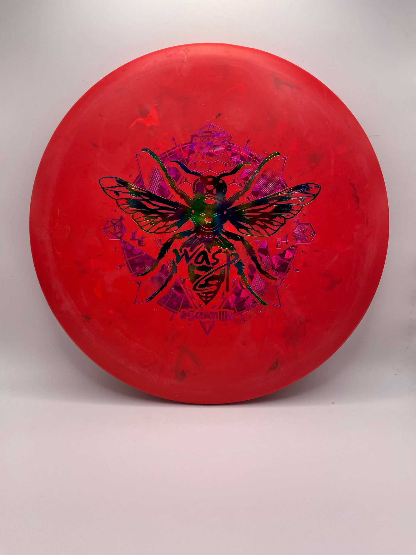 Wasp