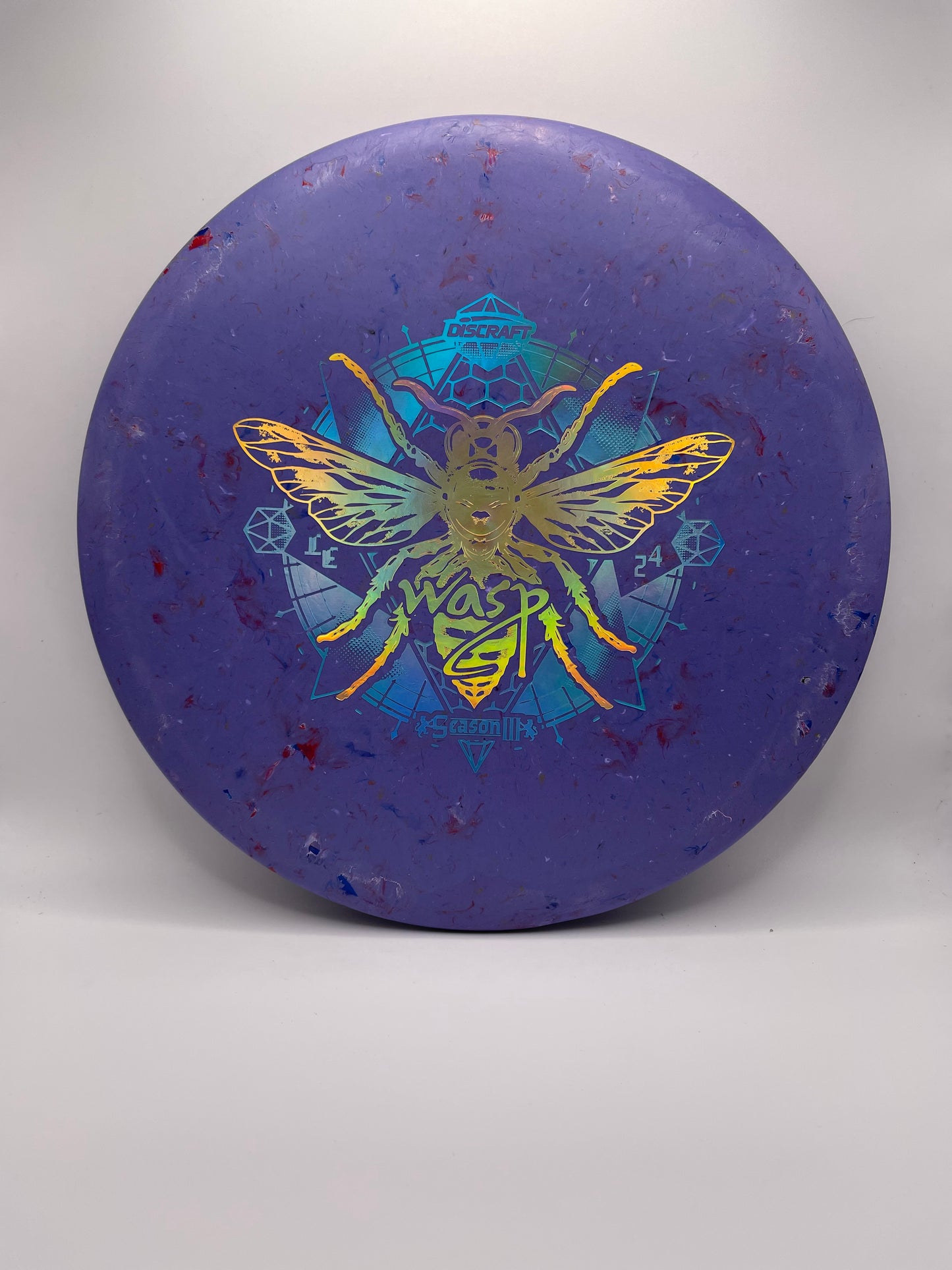 Wasp