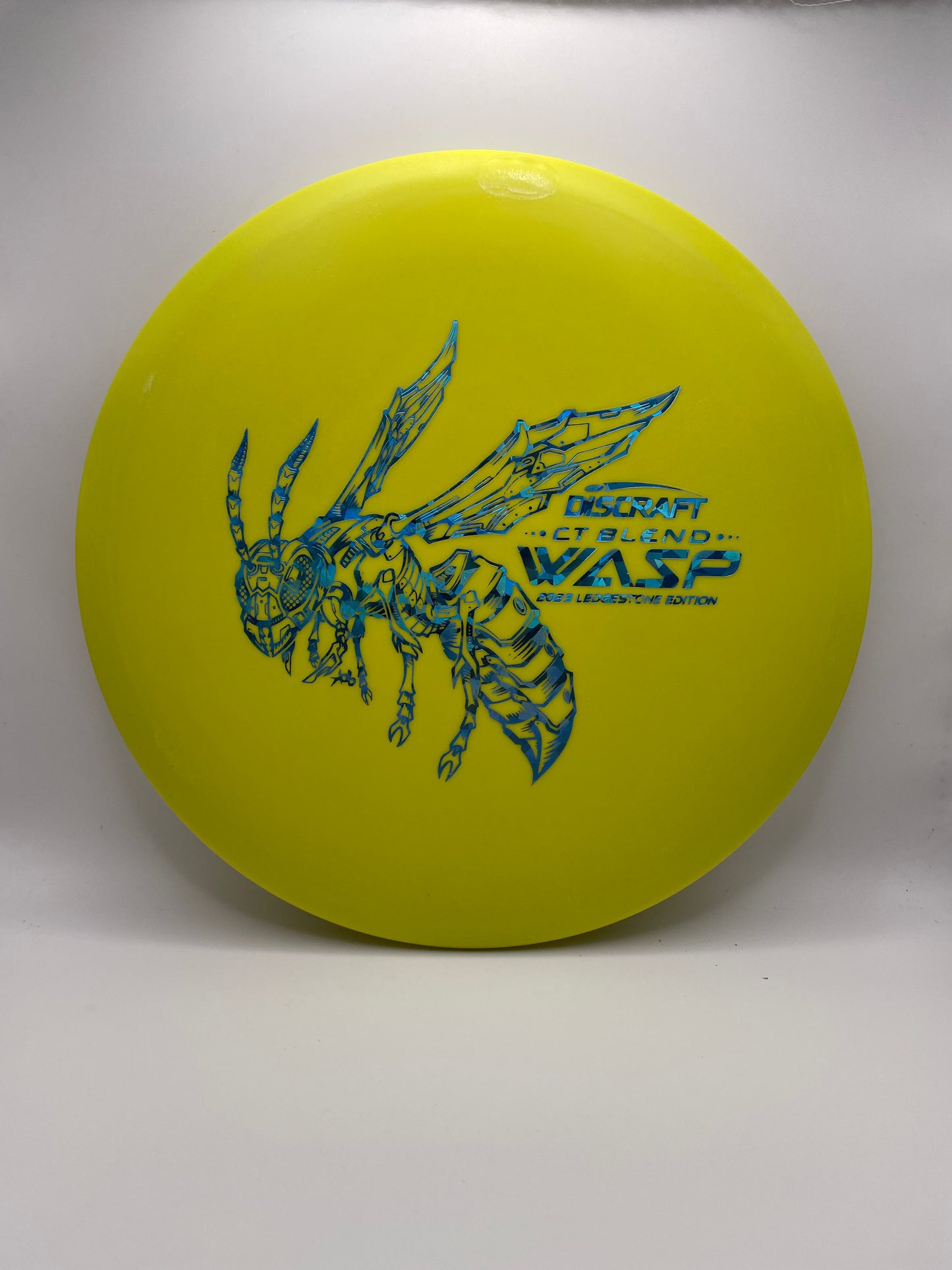 Wasp